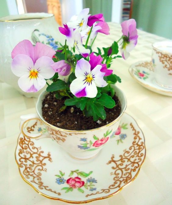 Teacup planter DIY project